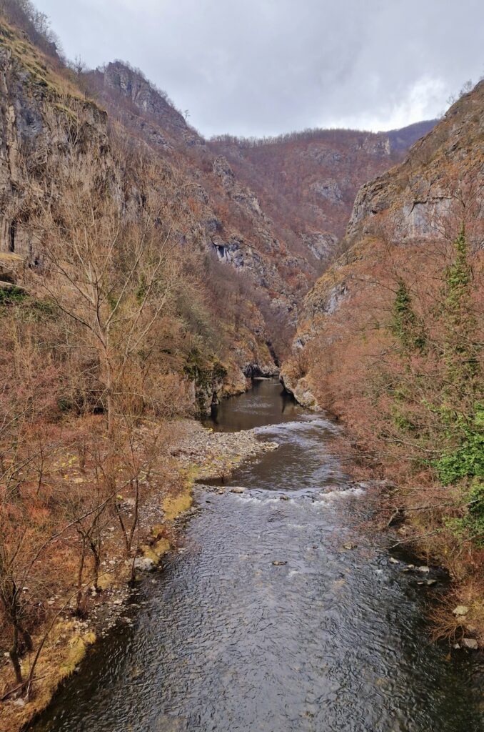 Ekološko Udruženje RZAV