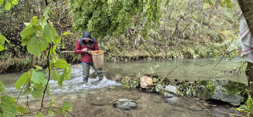 Ekološko Udruženje RZAV