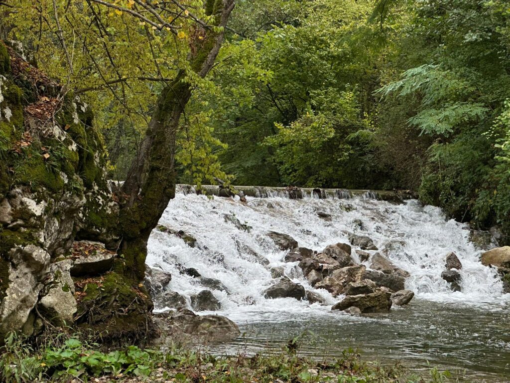 Ekološko Udruženje RZAV