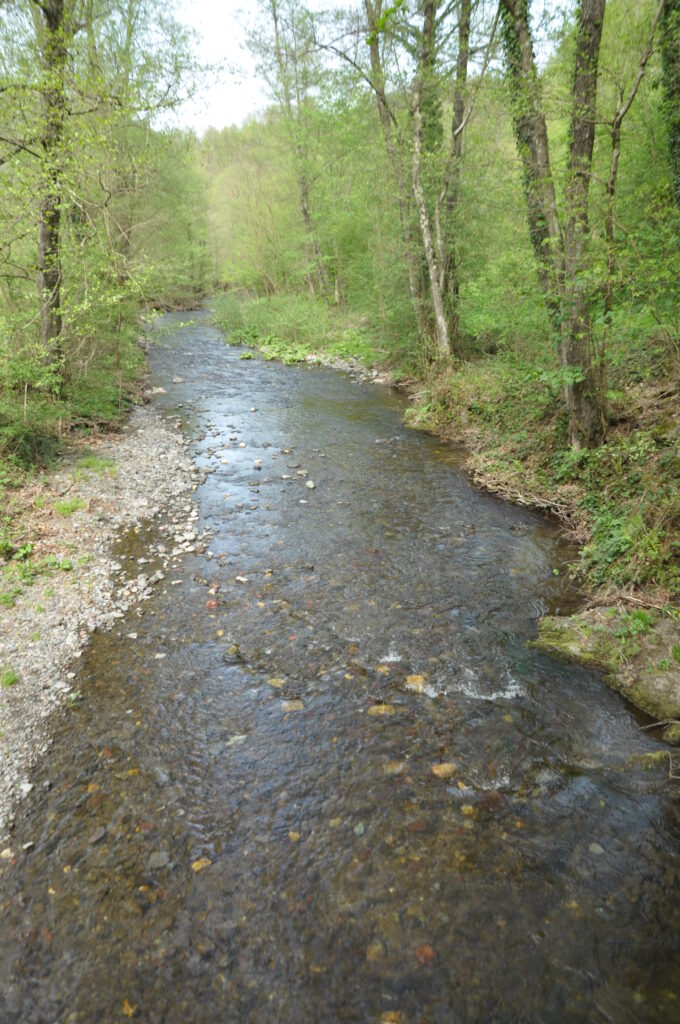 Ekološko Udruženje RZAV
